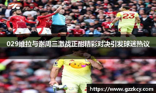029维拉与谢周三激战正酣精彩对决引发球迷热议